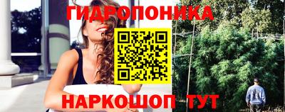 гашик Бийск