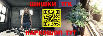 гашик Бийск