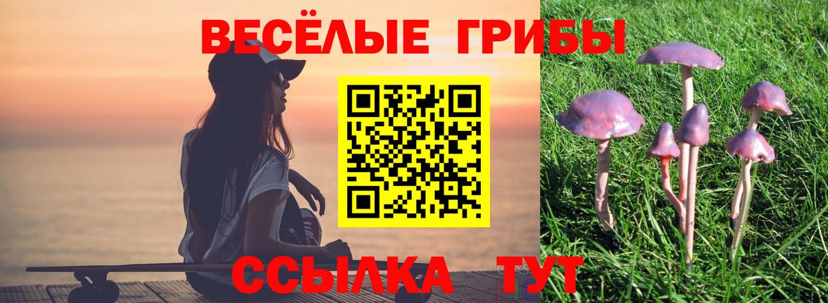 Йошкар-Ола  Галлюциногенные грибы мицелий  Вход с VPN  Галлюциногенные грибы Cubensis 